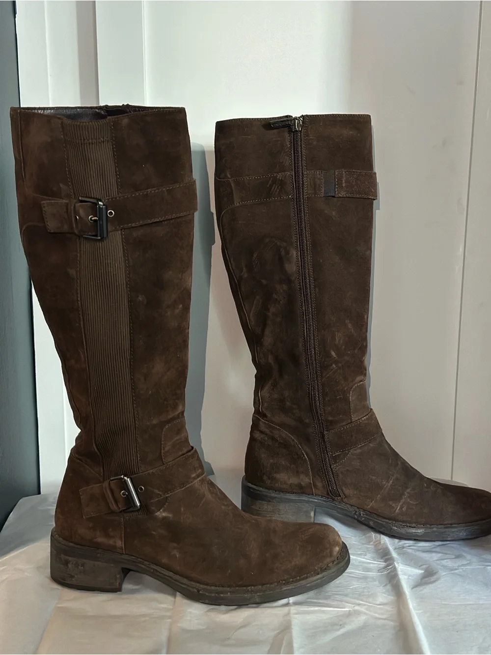 Aquatalia Tall Suede Heeled Boots